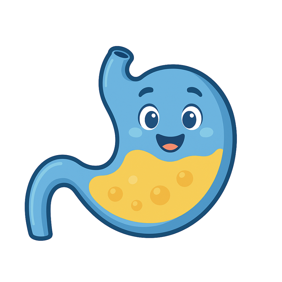 Gastro Assistant